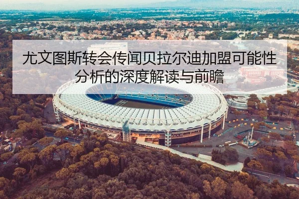 尤文图斯转会传闻贝拉尔迪加盟可能性分析的深度解读与前瞻