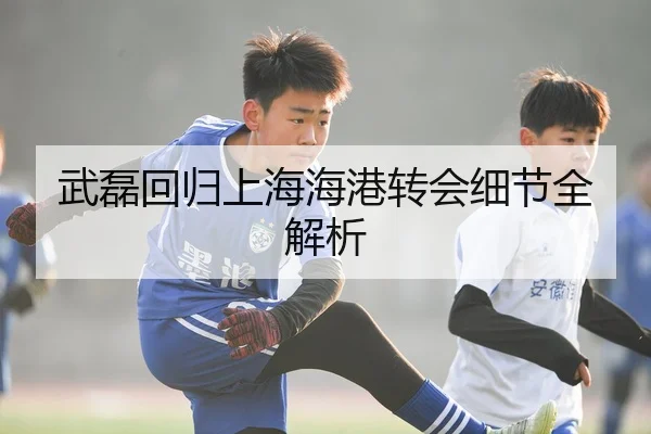 武磊回归上海海港转会细节全解析