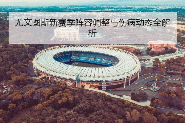 尤文图斯新赛季阵容调整与伤病动态全解析
